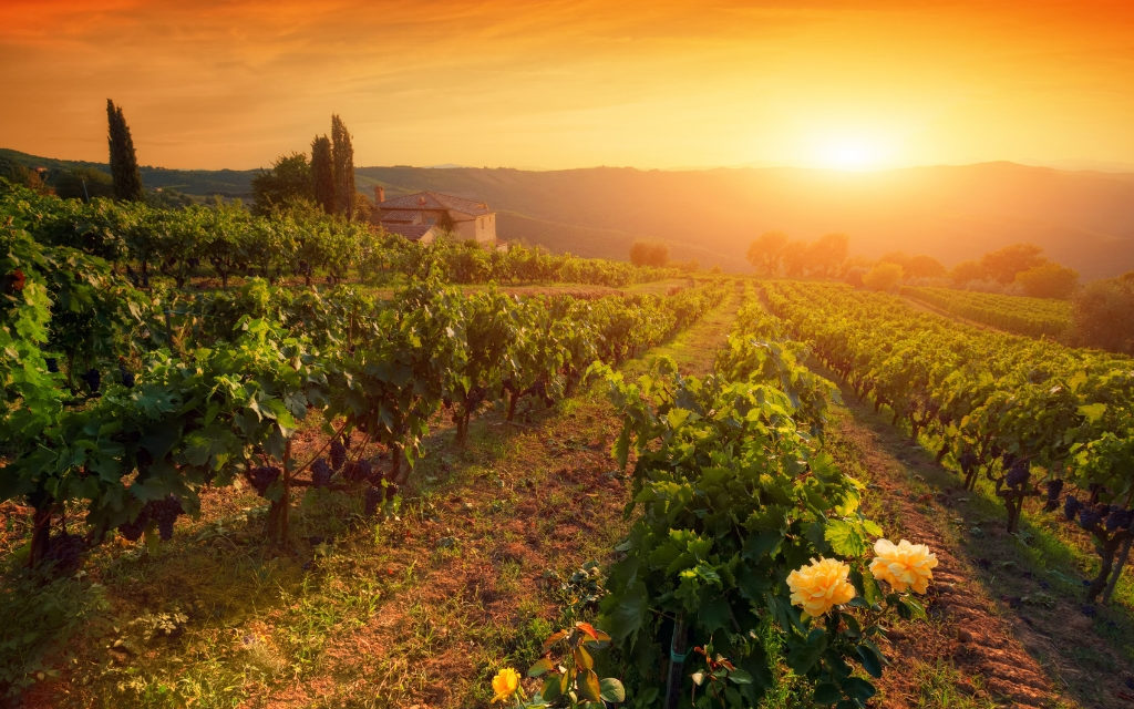 CHIANTI FOR FOODIES